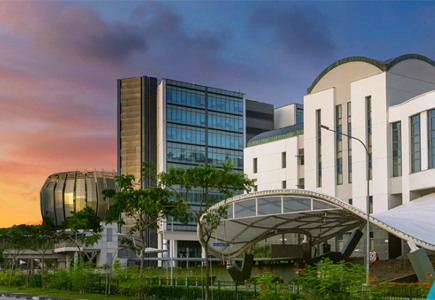 新加坡管理学院
山东旺秋建材有限公司——我们不止生产天花板，我们是天然的搬运工